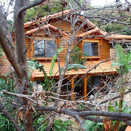 Ohn-Bar Guesthouse Amirim Ngoại thất bức ảnh